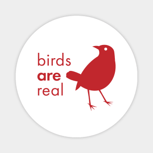 "Birds ARE Real" Magnet